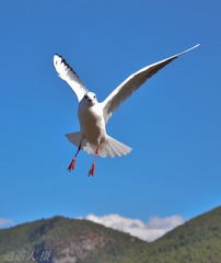 DSC_2807.JPG
