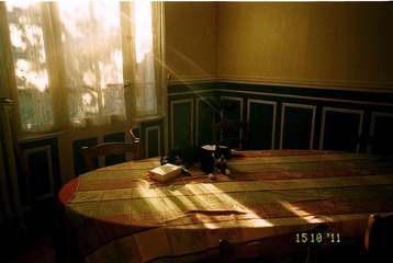 EKTAR-134.jpg