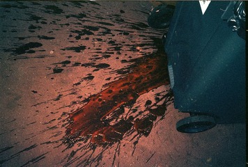 EKTAR-192.1.jpg