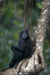 IMG_5025-3s