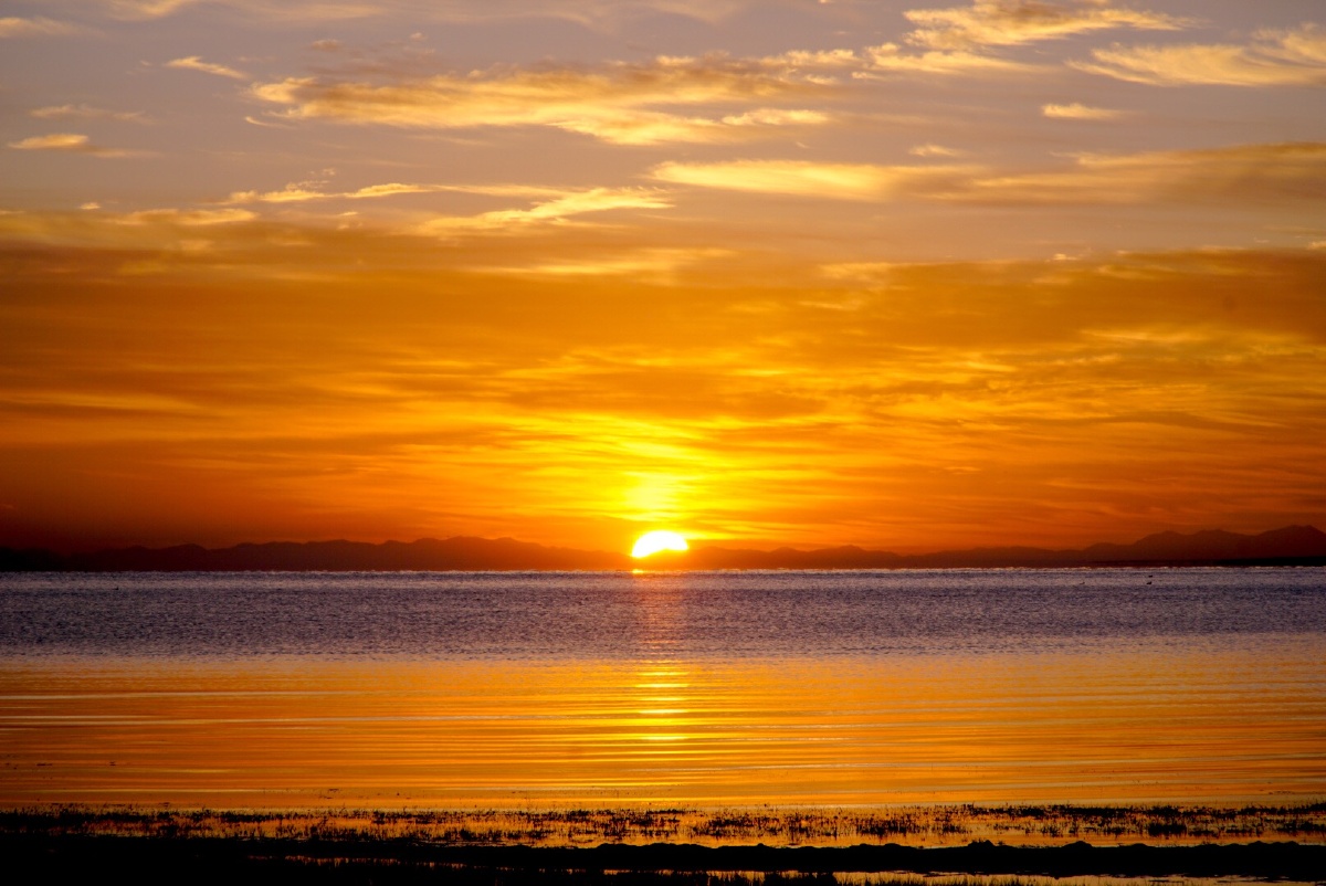去年国庆拍摄的青海湖日出太阳慢慢地从湖面升起动物渐渐地醒来吃草