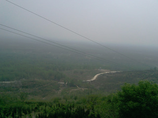 1982