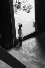 2490815