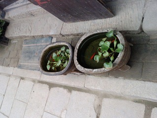 水缸