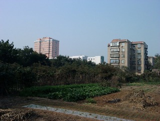 城郊