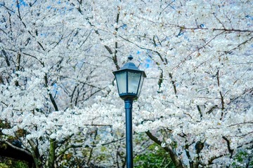 0CC0B3EA-FA04-4D22-BCF0-51805F0C9375/L0/001