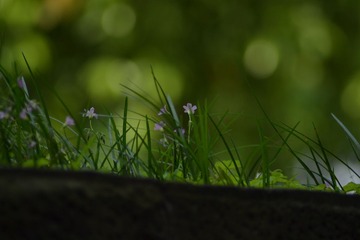 DSC_1913.JPG