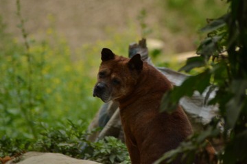 DSC_2046.JPG