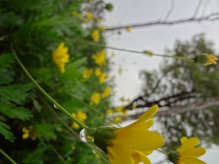DSC02124.JPG