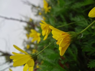 DSC02125.JPG