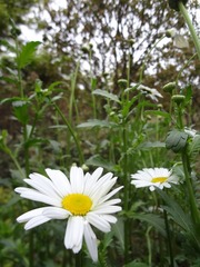 DSC02218.JPG