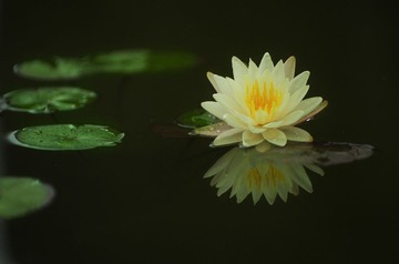 瞬间.jpg