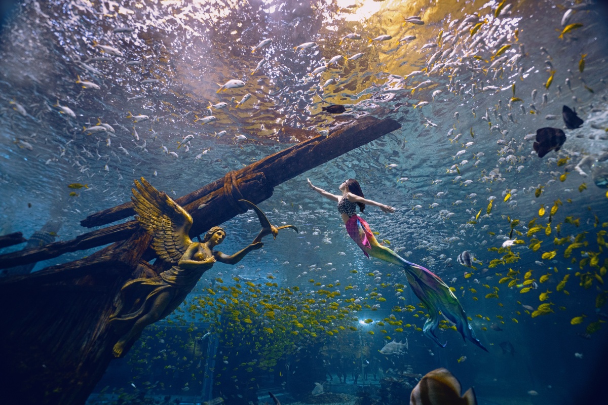 后期合成暗黑系深海美人鱼