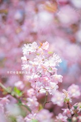 B65CF94B-E7C0-4E78-B722-D944852B49D2/L0/001