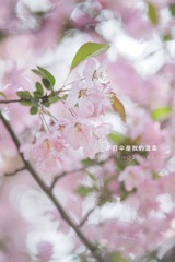 FD23B2CA-52C7-4BF3-B96C-9455011BC023/L0/001