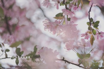 9728F9E4-CE84-45F3-A527-8C128E3F8158/L0/001