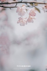 15BEC13F-F81D-4BA5-BC37-C03C85516385/L0/001
