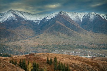 _ZUO3944-1