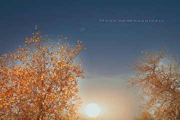 _ZUO5066-1