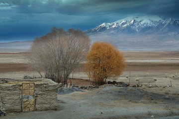 _ZUO5471-1