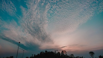 53905