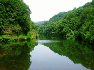 DSC04331_副本.jpg
