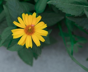 DSC_0296.jpg