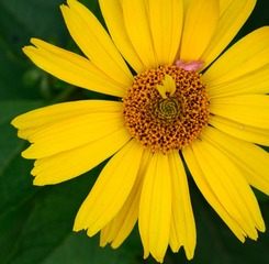 DSC_0297.jpg