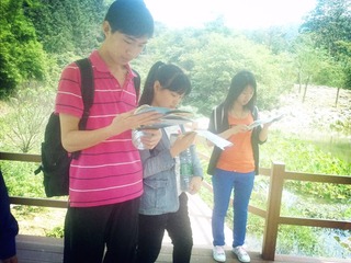 A8.jpg