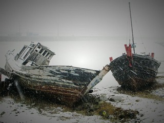 IMG_0087.jpg