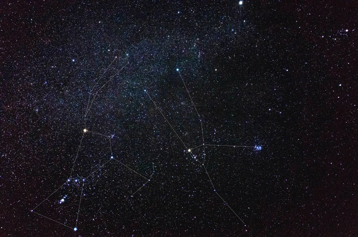 重温照片居然发现了两个星座,找星星找的眼睛都瞎了.