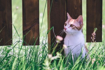20170501-DSCF6963