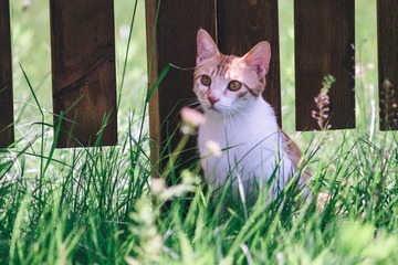 20170501-DSCF6964