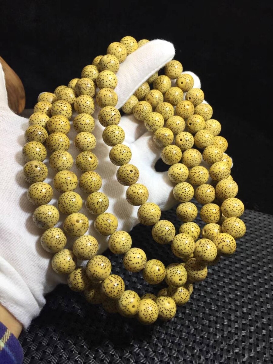 什么贝产珍珠,栽培珍珠需要更重要外物的入侵