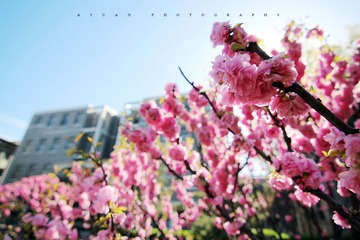 IMG_1521.JPG