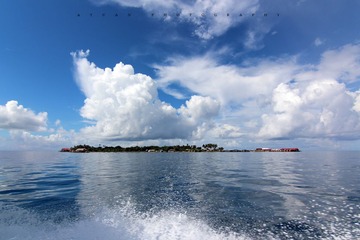 IMG_2119.JPG