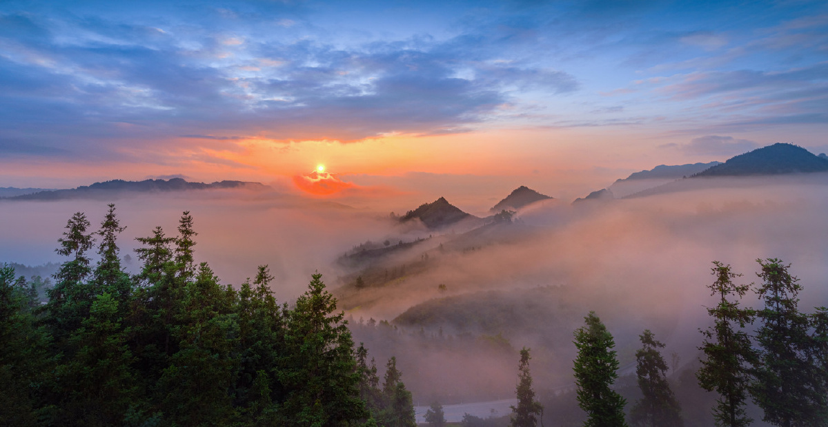 凤鸣朝阳紫气东来