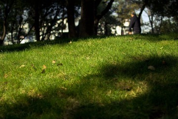 IMG_2265-2.jpg