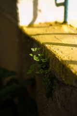 IMG_2277-4.jpg