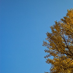 IMG_2370-2.jpg