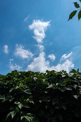 3503306C-C033-472A-A8EE-26C47EC9EC73/L0/001