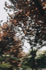 89EA1B9B-F9EC-4829-8FA4-E7029A3C781B/L0/001