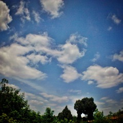 MA201304301339080099-13-000000_1.jpg