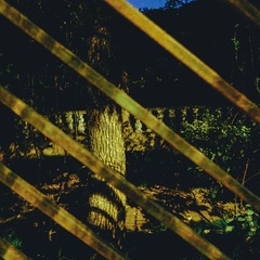 DSC01100-1