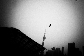 ZW091350-编辑-1