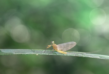 595AA556-374F-4EA9-9014-BC372F1F4988/L0/001