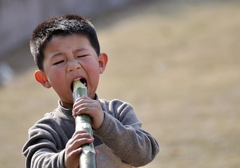 DSC_0177.jpg