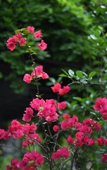 173CB3C8-6A11-49E0-BFAA-1A3D88DD867C/L0/001