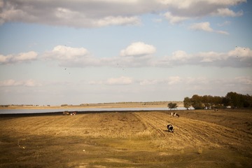 IMG_8416_1