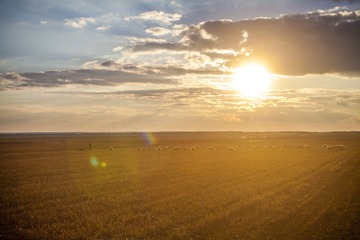 IMG_8529_1